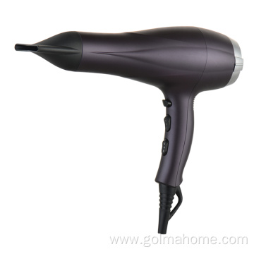 motor AC Motor Hair dryer professional hair blower